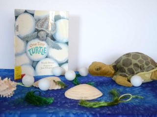 One Tiny Turtle - Kit at WCCRC's Library