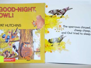 Good Night Owl Big Book